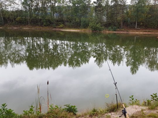 Königsweiher (Weidenberg)