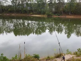 Königsweiher (Weidenberg)