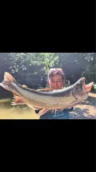 Teichanlage am Dobergsbach