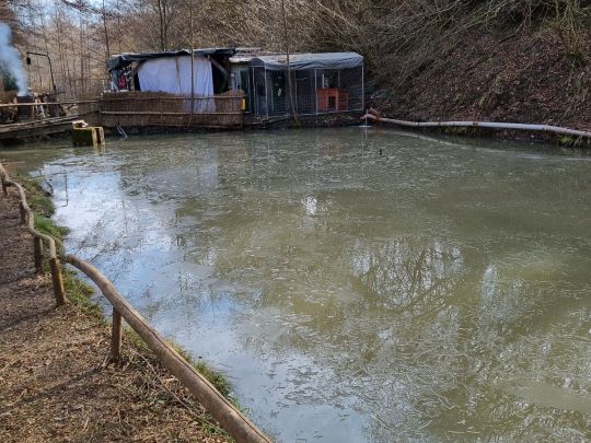 Teichanlage am Dobergsbach-3