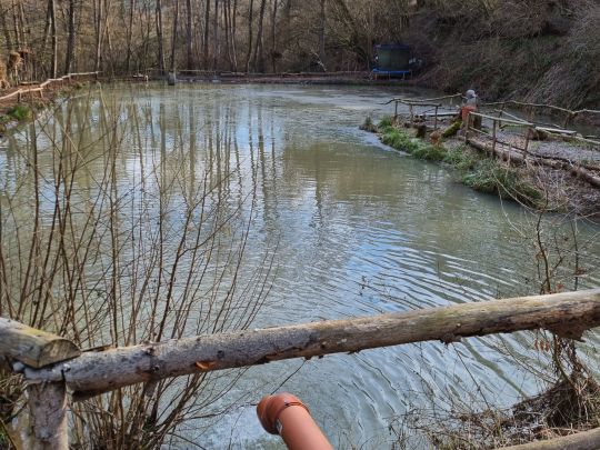 Teichanlage am Dobergsbach-1