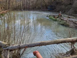 Teichanlage am Dobergsbach-1