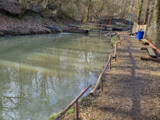 Teichanlage am Dobergsbach-4