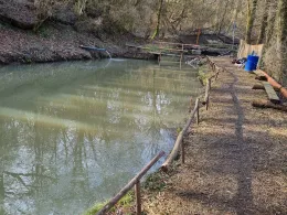 Teichanlage am Dobergsbach-4