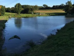 Johannesbad (Welsleben)