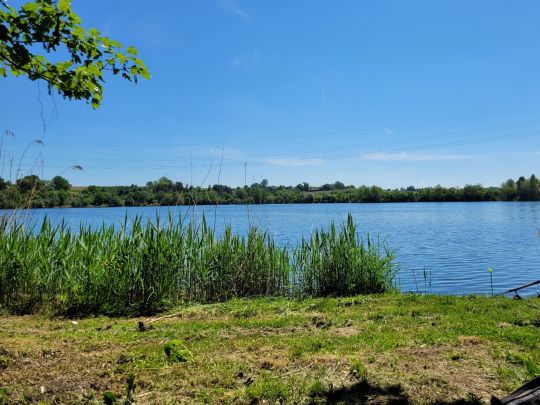 Schwarzachtalseen (Herbertingen)-2