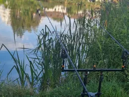 Siechenweiher (Meersburg)-3