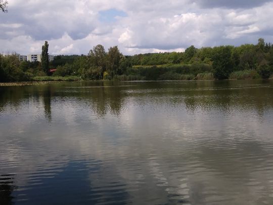 Siechenweiher (Meersburg)-2