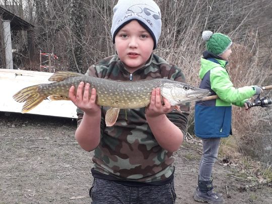 Siechenweiher (Meersburg)-4