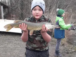Siechenweiher (Meersburg)-4