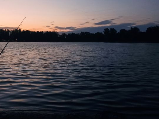 Langer Pfeifer (Niedermörmter)-4