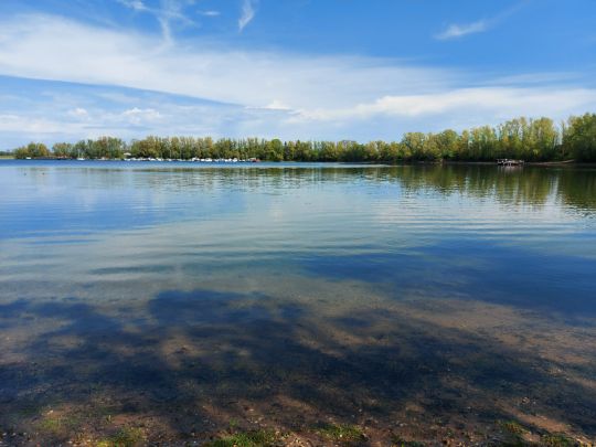 Langer Pfeifer (Niedermörmter)-3