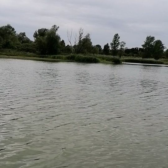 Salbker See I (Magdeburg)-4