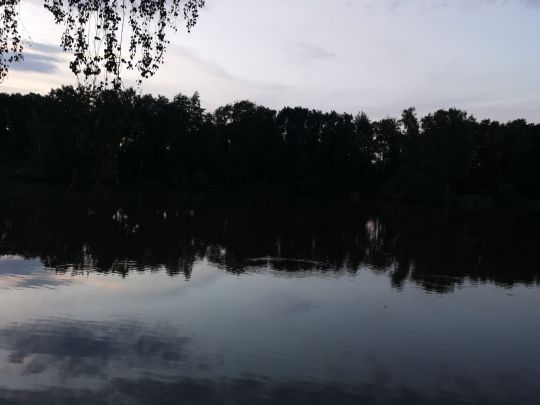 Mäuseturmteich (Bakum)-2