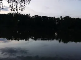 Mäuseturmteich (Bakum)-2