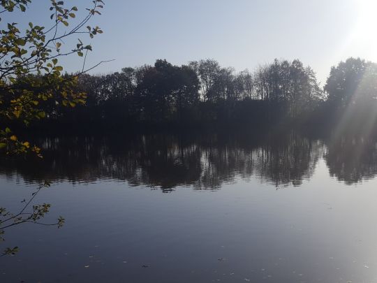 Mäuseturmteich (Bakum)-1