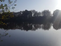 Mäuseturmteich (Bakum)-1