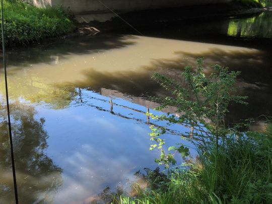 Niers (Geldern)-3