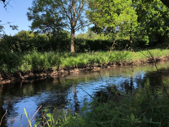 Niers (Geldern)-2