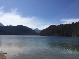 Alpsee (Hohenschwangau)-1