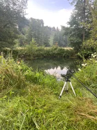 Schwarze Laber (Beratzhausen)