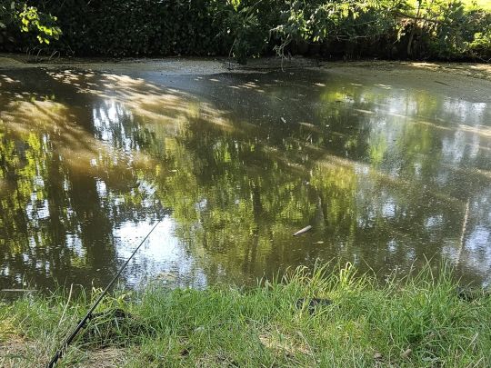 De Boezem (Wieringerwaard)-1