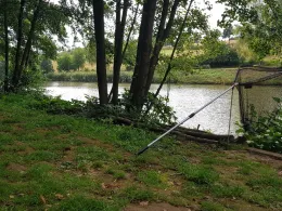 Ochsenpfuhlbachteich