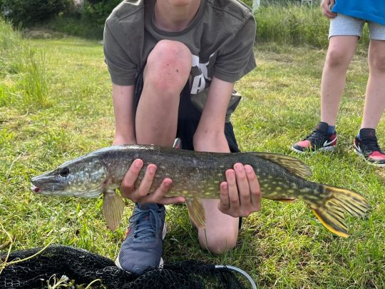 Kiesi Beach (Badesee Pressath)-1