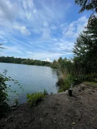 Staudenweiher (Kelsterbach)-4