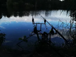 Staudenweiher (Kelsterbach)-2