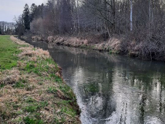 Issumer Fleuth (Issum)