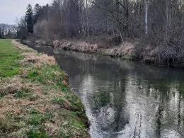 Issumer Fleuth (Issum)