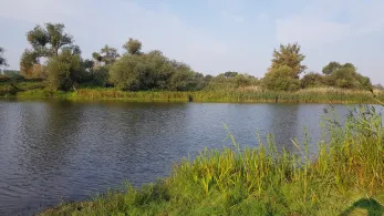 Prester See (Magdeburg)-2