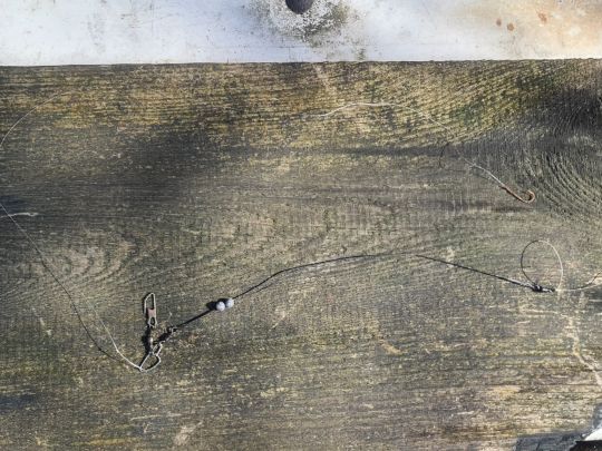 Wilschwitzer See-1