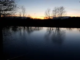 Mooshäuslweiher (FV München)-2