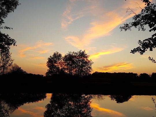 Mooshäuslweiher (FV München)-3