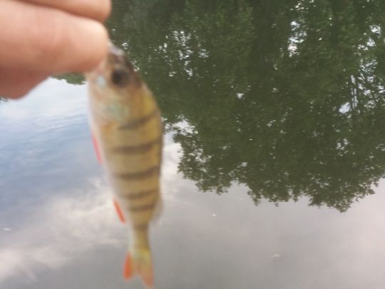 Brandenburger Niederhavel-3