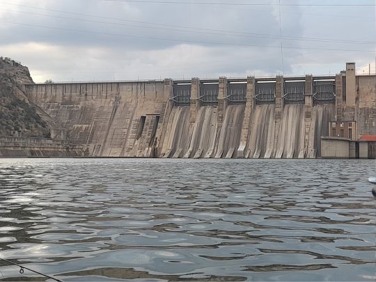 Ebro (Mequinenza)