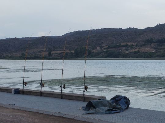 Ebro (Mequinenza)-3