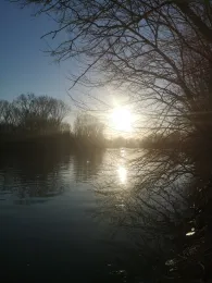 Stockstadt-Erfelder Altrhein-2