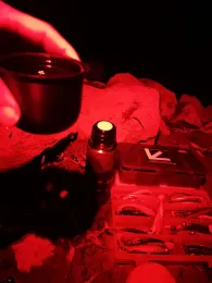 Stockstadt-Erfelder Altrhein-1