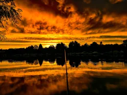 Stockstadt-Erfelder Altrhein-3