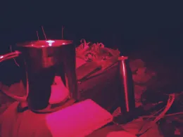 Stockstadt-Erfelder Altrhein-4