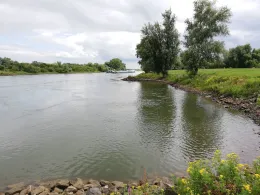 Ijssel (Giesbeek)-4