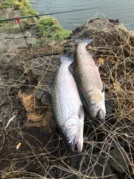 Angelteich Gröningsgarten-1