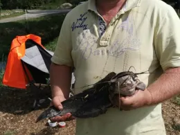 Angelteich Gröningsgarten