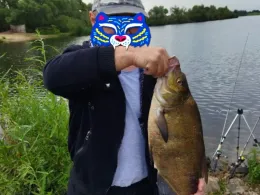 Schroevendaalseplas (Ohé en Laak)-3