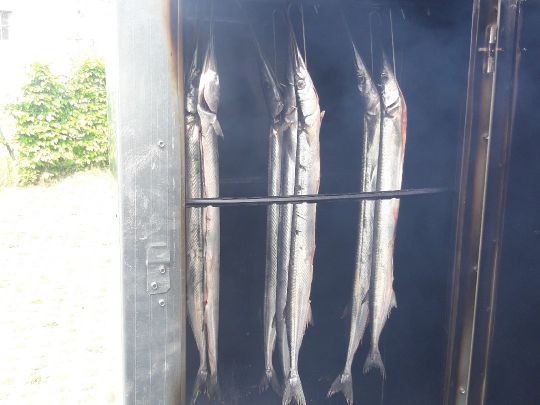 Rügischer Bodden (auf See)-1