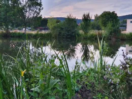 Altarm Bad Köstritz-1