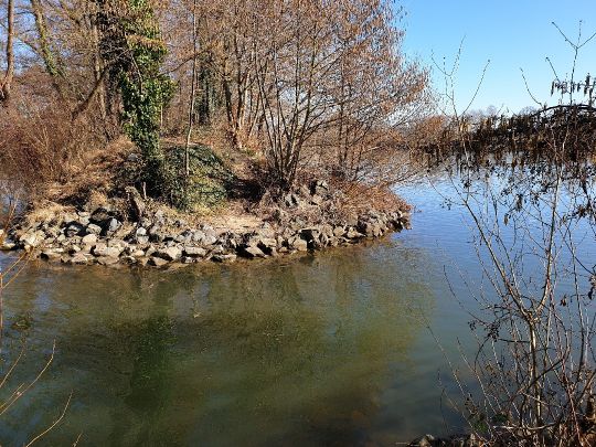 Main (Karlstein am Main)-1